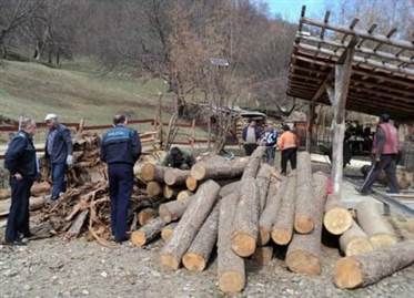 Lemne confiscate de politisti