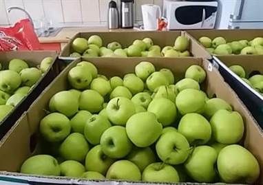 Fructe si legume donate la Scoala Speciala Pascani