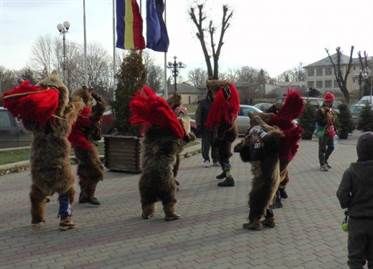 Au ajuns ursii in Pascani