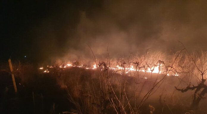 Incendiu de vegetație uscată la Hărlău