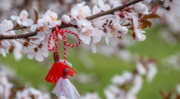 Tradiția mărțișorului – legătura dintre trecut și prezent