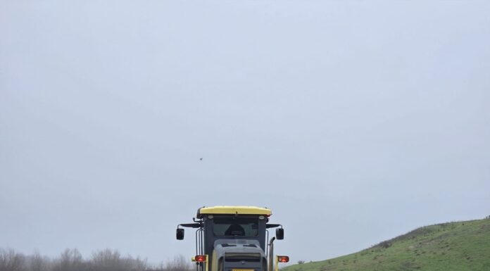 ‼️ Deturnare de fonduri, manipulare și corupere electorală marca PNL. Marius Pintilie, primarul PNL al Pașcaniului