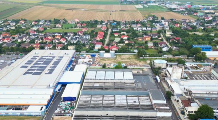 S-a ales praful de unul dintre cei mai mari producători din Europa de componente pentru scaune auto. Cu cât a fost scoasă la vânzare fosta firmă din Pașcani fondată de Doina Cepalis